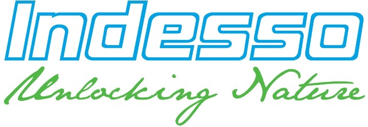 indesso-logo