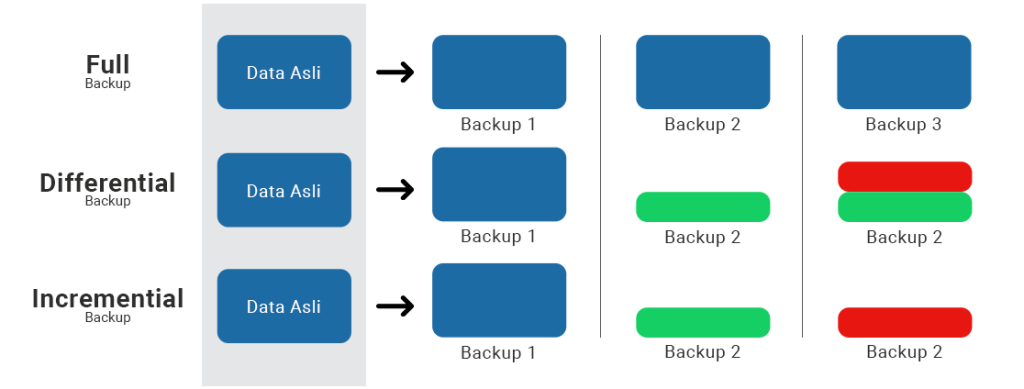 Backup 